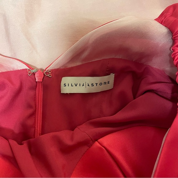 NWOT SILVIA ASTORE ANISSA DRESS - PINK, SIZE 40 (US 4) - Picture 6 of 7
